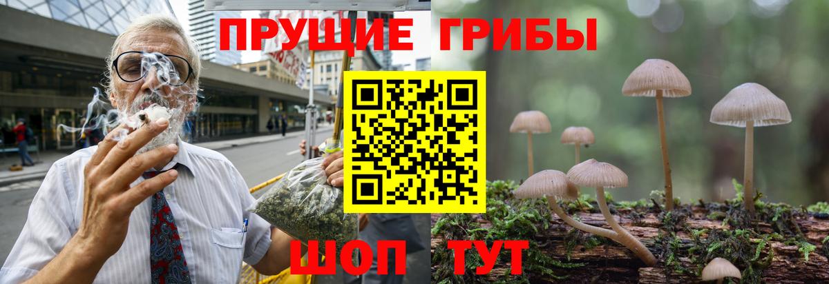 Бийск  Псилоцибиновые грибы Cubensis  Галлюциногенные грибы мицелий  Вход с VPN 